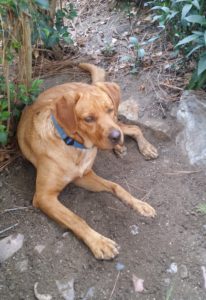 Jack1